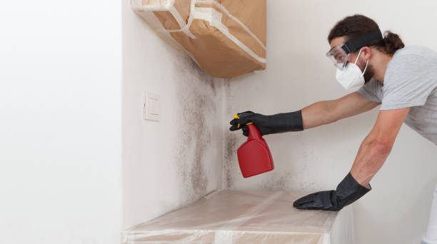 Professional Bathroom Mold Removal technician working in Philipsburg, PA